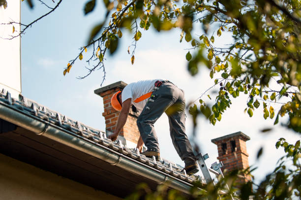Best Roof Maintenance Services  in Stevensville, MI