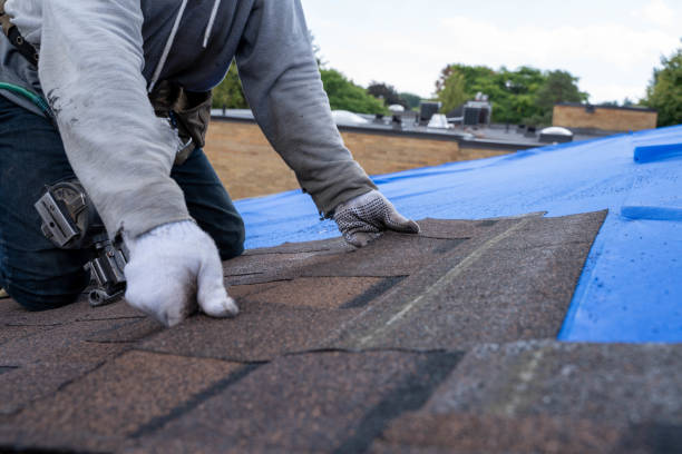 Roof Repair Estimates in Stevensville, MI