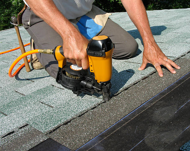 Best Flat Roof Repair Services  in Stevensville, MI