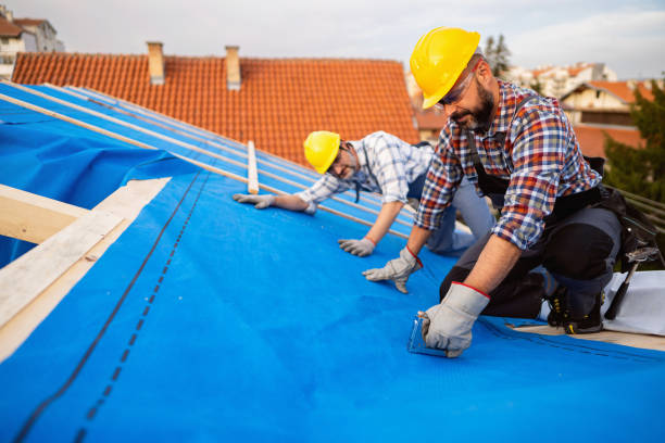 Best Roof Repair Services  in Stevensville, MI
