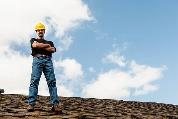 Best Residential Roofing Contractor  in Stevensville, MI